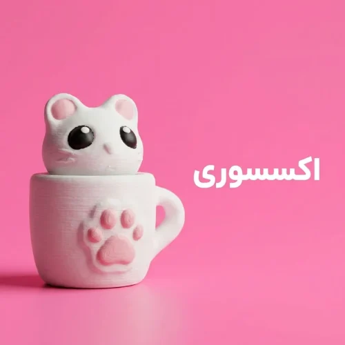 دسته-بندی-اکسسوری